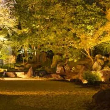 Explux Dimmable LED A19 Yellow Light Bulbs for Bright Illumination