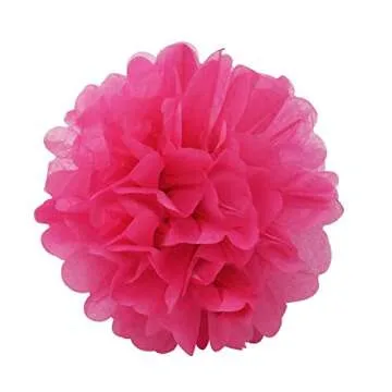 Doubletwo2 24pcs Craft Paper Tissue Pom Poms, Doubletwo Ceiling Decor Wall Decor; 12in 10in 8in Hanging Paper Pom-poms Flower Ball Wedding Party Outdoor Decoration Flowers Craft Kit (Pink White)
