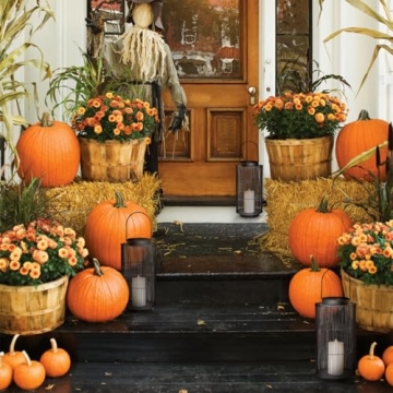 Stylish Lamplust Outdoor Lantern with Timer and Batteries