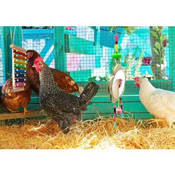Vehomy 2Pcs Chicken Toys for Hens Chicken Mirror Toy with Bell and Chicken Xylophone Toy for Chicks Hens Roosters