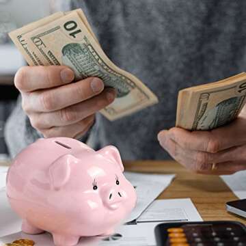 PIG WORLD 7" Piggy Bank for Adults,Ceramics,Piggy Bank for Kids,Alcancias De Dinero para Adultos Ni?...