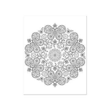 Color & Frame - In the Garden Adult Coloring Book