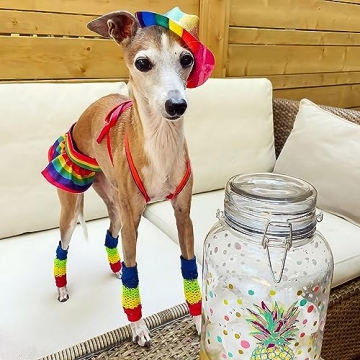 Fitwarm Rainbow Dog Bikini Set, Hawaiian Beach Swimsuit, Summer Dog Clothes for Small Dogs Girl, 2 Piece Dog Suit for Swimming and Bathing, Pet Luau Outfit, Multicolored, Small