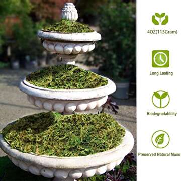 Fake Moss Artificial Moss for Potted Plants Greenery Moss(4OZ) Home Decor Fairy Garden Crafts Weddin...