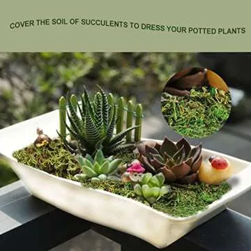 Fake Moss Artificial Moss for Potted Plants Greenery Moss(4OZ) Home Decor Fairy Garden Crafts Wedding Decoration (Fresh Green)