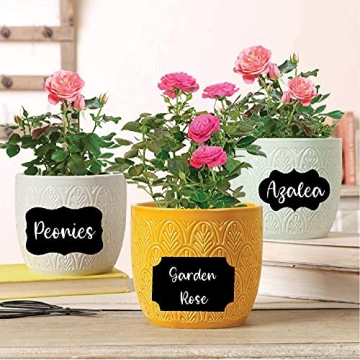 Mantah Chalkboard Label Stickers - 96 Reusable and Waterproof