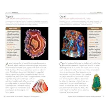 National Geographic Pocket Guide to Rocks and Minerals of North America (Pocket Guides)