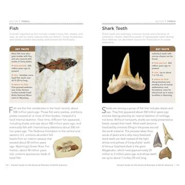 National Geographic Pocket Guide to Rocks and Minerals of North America (Pocket Guides)
