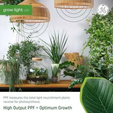 GE Grow LED Light Bulb, PAR38 Flood Light, Indoor LED Grow Lights for Plants, Seeds and Greens, Balanced Light Spectrum, 25,000 Hours Lifespan, 50 PPF, 1 Pack (Packaging May Vary)