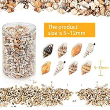 Weoxpr 2000 Pcs Tiny Seashells for Crafting and Decor