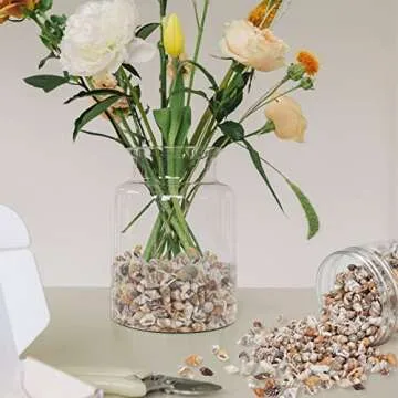 Weoxpr 2000 Pcs Tiny Seashells for Crafting and Decor