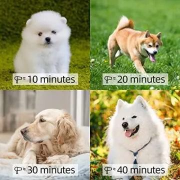 Powerful Pet Grooming Dryer for Fast, Efficient Drying