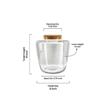 Serene Spaces Living Hydria Terrarium Vase with Cork, Bottle Floral Vase, Indoor Mini Garden, Home & Wedding Decor - Perfect for Succulents, Air Plants, Ferns & Moss, 9.75" Diameter & 11" Tall