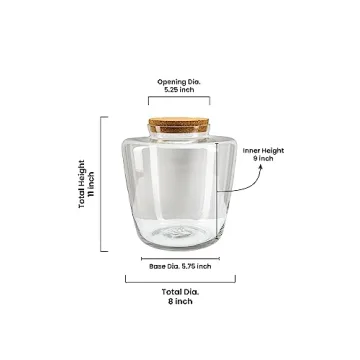 Serene Spaces Living Hydria Terrarium Vase with Cork, Bottle Floral Vase, Indoor Mini Garden, Home & Wedding Decor - Perfect for Succulents, Air Plants, Ferns & Moss, 9.75" Diameter & 11" Tall