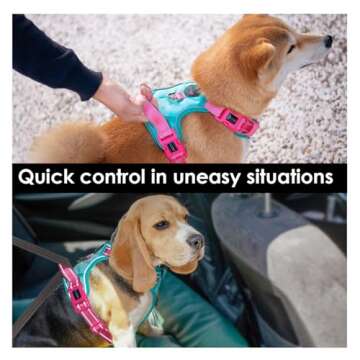 PHOEPET No Pull Dog Harness, Unique Colors Reflective Adjustable Dog Vest, with Soft Training Handle Metal Clips for Small Medium Large Dogs (Mint Green Base & Pink Straps,L)