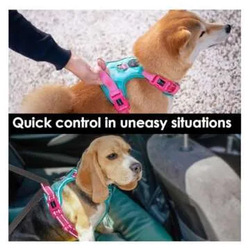PHOEPET No Pull Dog Harness, Unique Colors Reflective Adjustable Dog Vest, with Soft Training Handle Metal Clips for Small Medium Large Dogs (Mint Green Base & Pink Straps,L)