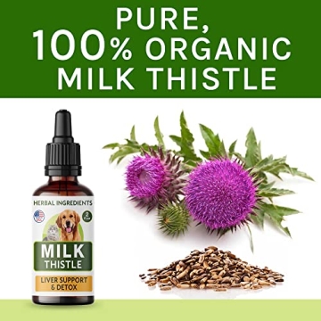 Milk Thistle Liver Support Supplement for Pets - 2 fl oz