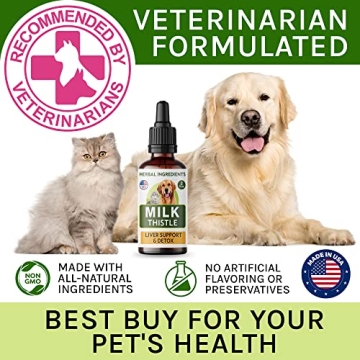 Milk Thistle Liver Support Supplement for Pets - 2 fl oz