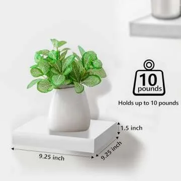 Sorbus Square Floating Shelves - Versatile Decor for Home
