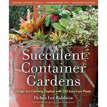 Discover the Art of Succulent Container Gardens Today