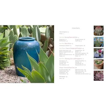 Discover the Art of Succulent Container Gardens Today