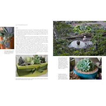 Discover the Art of Succulent Container Gardens Today