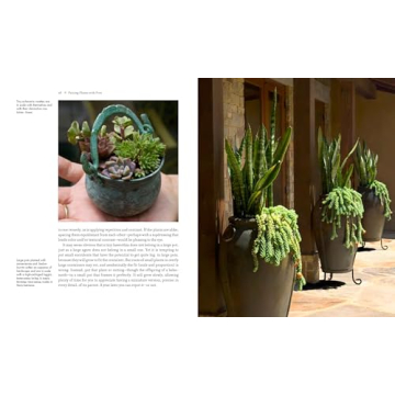 Discover the Art of Succulent Container Gardens Today