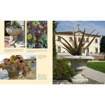 Discover the Art of Succulent Container Gardens Today