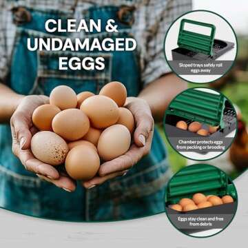 Homestead Essentials 2 Compartment, Forward Rollout and Rollaway, Hen & Chicken Nesting Box with Integrated Perch and Protective Egg Laying Collection Lids