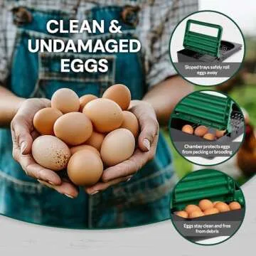 Homestead Essentials 2 Compartment, Forward Rollout and Rollaway, Hen & Chicken Nesting Box with Integrated Perch and Protective Egg Laying Collection Lids