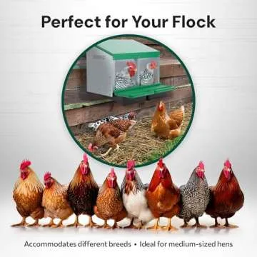 Homestead Essentials 2 Compartment, Forward Rollout and Rollaway, Hen & Chicken Nesting Box with Integrated Perch and Protective Egg Laying Collection Lids