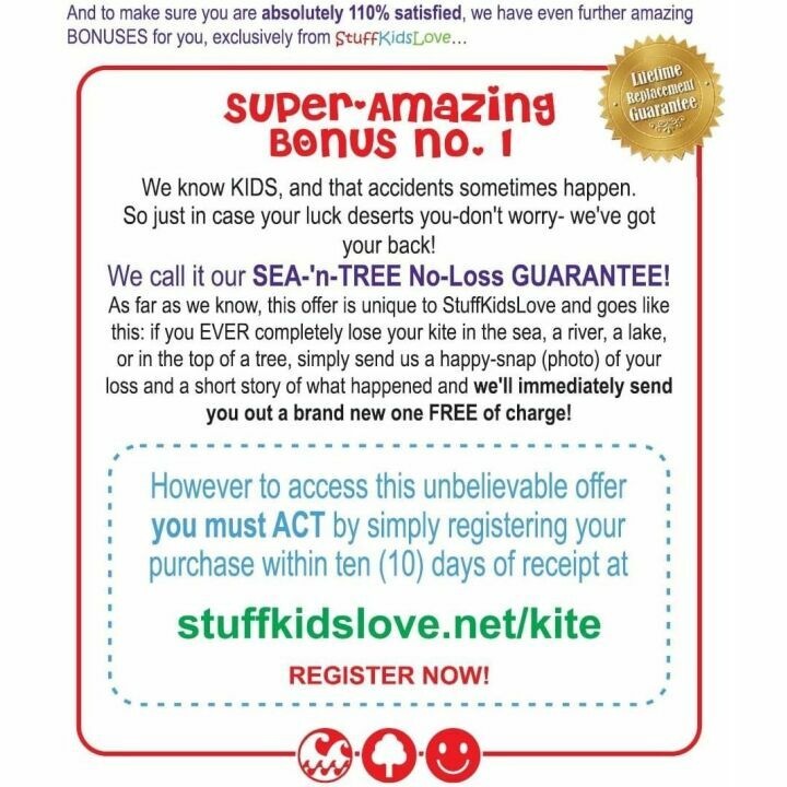 Easy Fly Delta Kite for Kids - Stunning Colors & Design