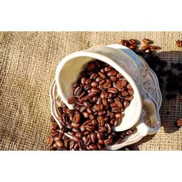 Cafe Du Monde Coffee with Chicory 15 oz - 6 Pack