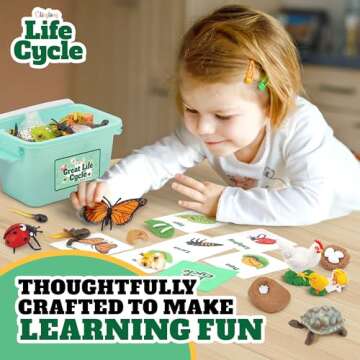 Life Cycle Science Kit Montessori Realistic Figurine, Kids Animal Matching Game with Frog, Ladybug and More Includes 32-Piece, Fun Learning Education Toys Stocking Stuffers for Children 3 4 5 6 7 8