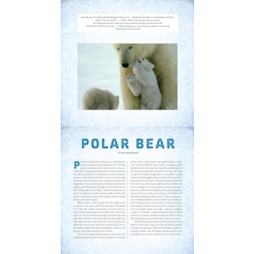 Polar Photicular Book - Experience Dynamic 3D Imagery