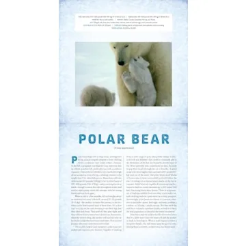 Polar Photicular Book - Experience Dynamic 3D Imagery