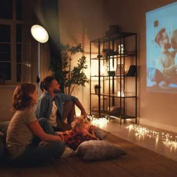 JOOFO 30W Floor Lamp with Remote and Color Control - Platinum