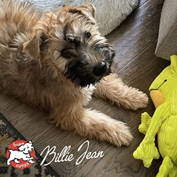 Fromm Puppy Gold Premium Dry Dog Food for Puppies - 5 lb