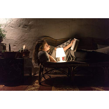 Portable Fatboy Edison Petit Table Lamp Set - White