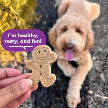 BUDDY BISCUITS 16 oz. Box of Crunchy Dog Treats Made with Assorted Flavors of Roasted Chicken, Grilled Beef, and Sharp Cheddar