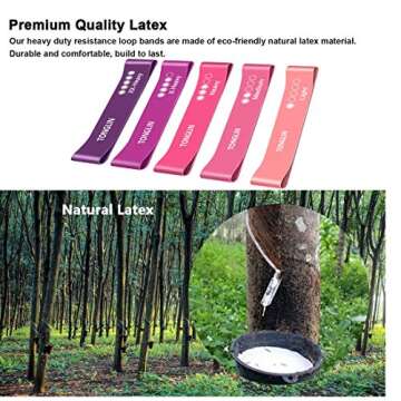 Resistance Bands, 5 Pcs Exercise Bands for Legs Glutes Arms, Skin-Friendly Resistance Fitness Exercise Loop Bands for Gym Home Yoga Pilates with Carry Bag and Instruction Guide