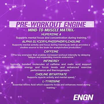 Evlution EVL Intense Pre Workout with Creatine - ENGN Energizing Pre Workout for Men Powder Drink for Lasting Energy Focus and Recovery - with Beta Alanine Caffeine and L Theanine - Furious Grape