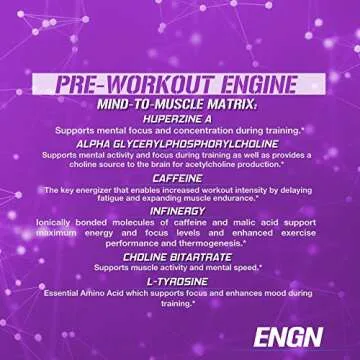 Evlution EVL Intense Pre Workout with Creatine - ENGN Energizing Pre Workout for Men Powder Drink for Lasting Energy Focus and Recovery - with Beta Alanine Caffeine and L Theanine - Furious Grape