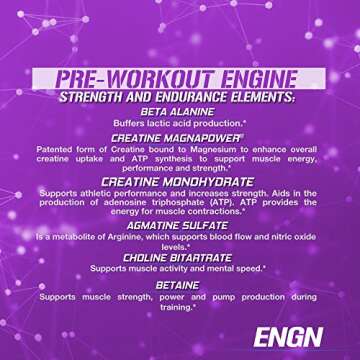 Evlution EVL Intense Pre Workout with Creatine - ENGN Energizing Pre Workout for Men Powder Drink for Lasting Energy Focus and Recovery - with Beta Alanine Caffeine and L Theanine - Furious Grape