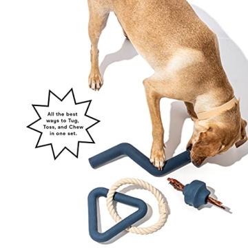 Wild One Dog Toy Kit for Average Chewers, Set of 3