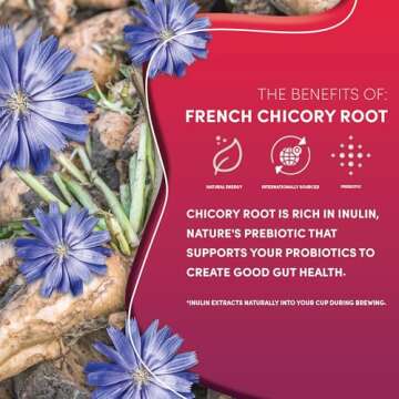 Teeccino Vanilla Nut Herbal Coffee Alternative - Medium Roast