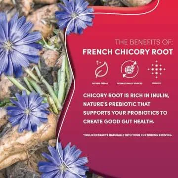 Teeccino Vanilla Nut Herbal Coffee Alternative - Medium Roast