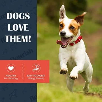 Natural Freeze-Dried Pig Snouts for Happy Healthy Dogs