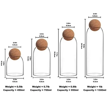 Stylish IVAILEX Airtight Glass Canisters - Set of 4