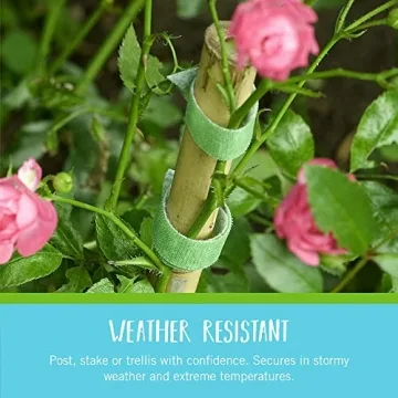 VELCRO ONE-WRAP Garden Ties for Easy Plant Support